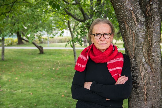 Christina hemma frn klimatmanifestation i Bryssel