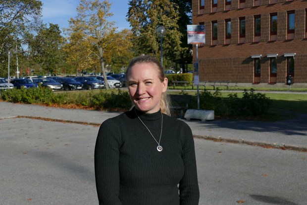 sterkersborna trygga enligt omfattande underskning 