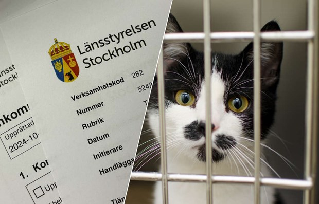 Djur omhändertagna i Österåker – vad händer nu? Djur omhändertagna i Österåker – vad händer nu?