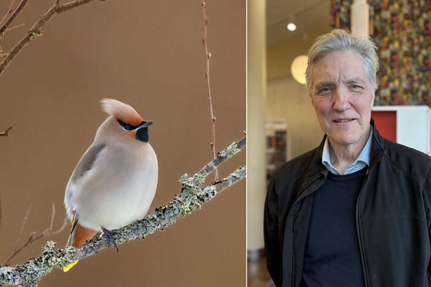 Naturfotografens tips fr magiska motiv i kersberga 