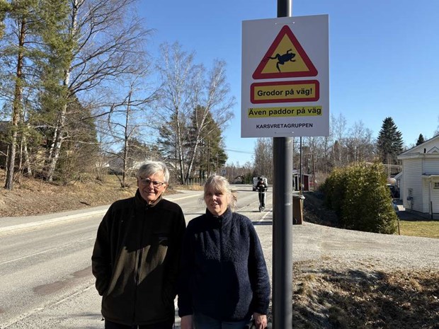 Nu vandrar paddorna i Svinninge till Boda Träsk Nu vandrar paddorna i Svinninge till Boda Träsk