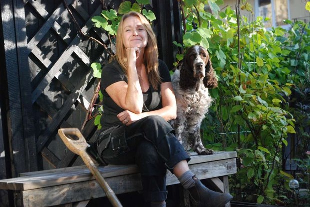 Populära busken klassas nu som invasiv Populära busken klassas nu som invasiv