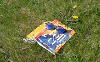 Sommarläsning med lokal känsla