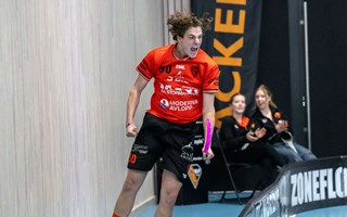 David till Schweiz  Anton stannar 