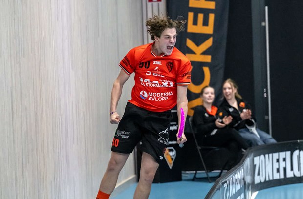 David till Schweiz  Anton stannar 