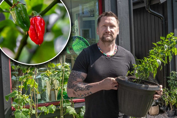 Het odlarglädje hemma hos Micke Het odlarglädje hemma hos Micke