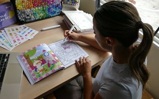 Tusentals fljer Milenas mlarvideos 