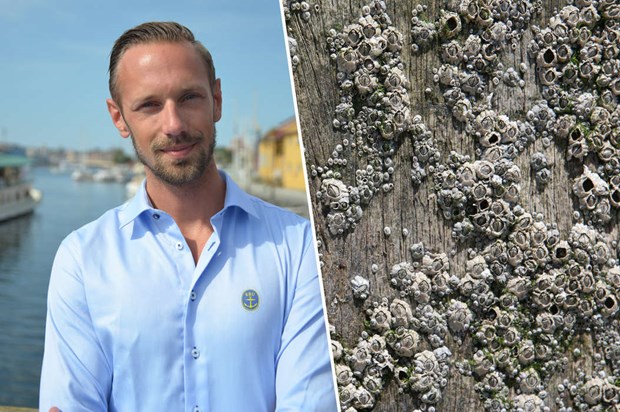 Havstulpanlarm i �ster�kers vatten 