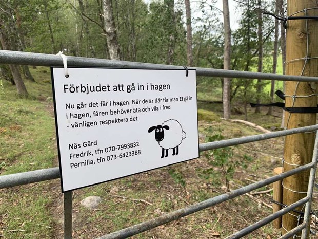 F�ren tillbaka i R�llingby