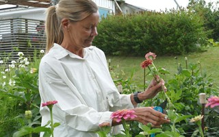 Nrodlade buketter i Ann-Sofies trdgrd