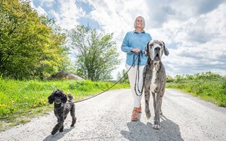 Atlas och Ture tar plats i barnbok