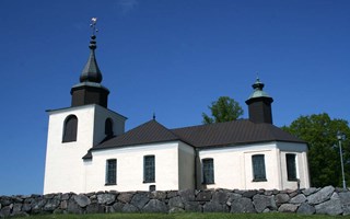 Skogen som kyrkans samvete