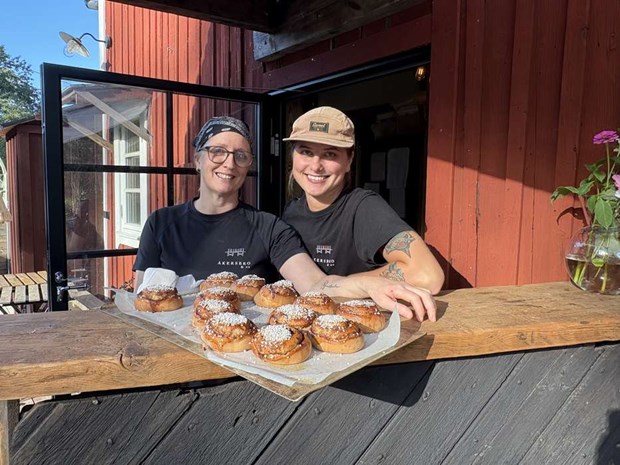 Frn klassiker till twist p Kanelbullens dag  
