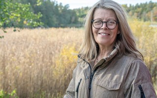 Lotta började skådespela mitt i livet