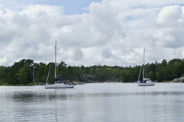 Seger fr borna  dumpning i skrgrden stoppas