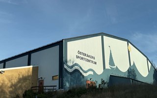 Det kan du göra på höstlovet