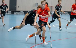 Ackers segersvit sprack 