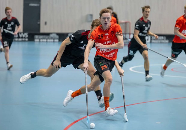 Ackers segersvit sprack Ackers segersvit sprack