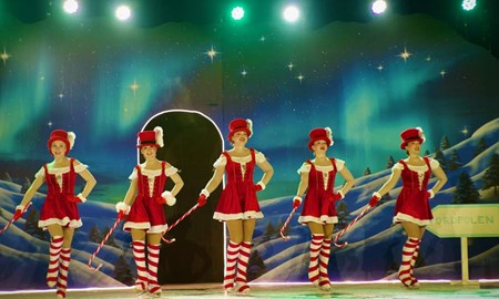 Elin gl�nser i Kolm�rdens isshow