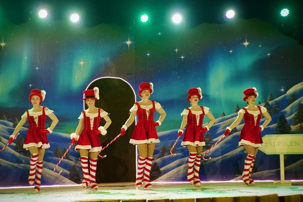 Elin glänser i Kolmårdens isshow Elin glänser i Kolmårdens isshow