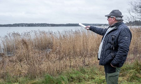 Din julgran kan bli lekplats f�r abborrar