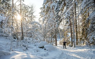 H�r finns vinteraktiviteterna i �ster�ker 