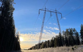 Elpriserna rusar i �ster�ker