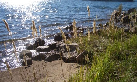 Gemenskap avg�rande f�r �bor