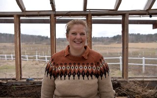 Så lyckas du med sommarblommorna