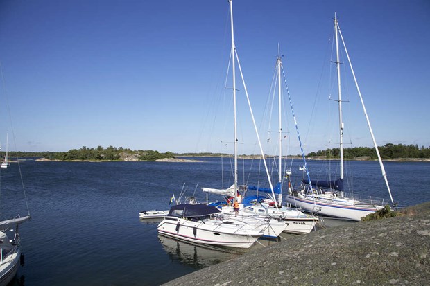 Hall� d�r, Jan Zetterman! 