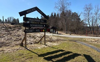 S� blir sommaren p� Domarudden