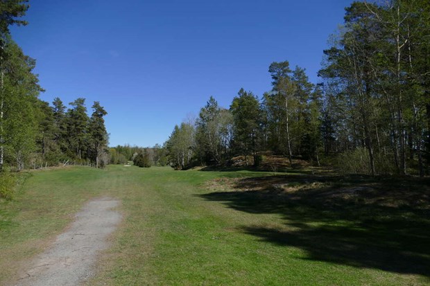 Gl�mda gravr�set: �Vackraste fornl�mningen� 