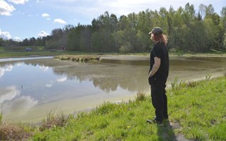 Den anlagda våtmarken sjuder av liv