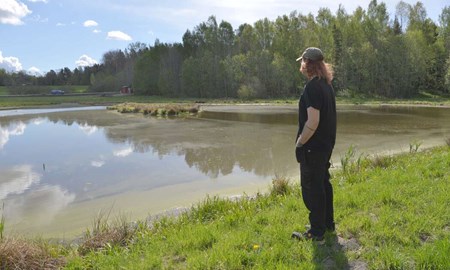 Den anlagda våtmarken sjuder av liv