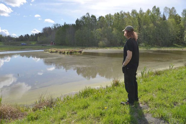 Den anlagda v�tmarken sjuder av liv 