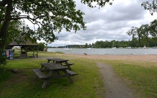 Mycket nytt att testa i sommar 