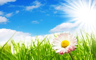 Sommarst�ngt till 30 juli