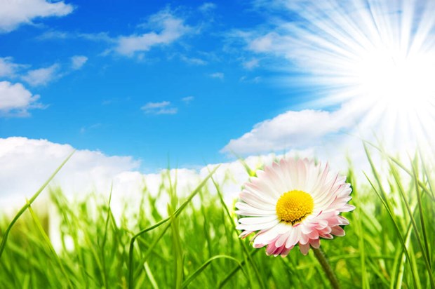Sommarst�ngt till 30 juli