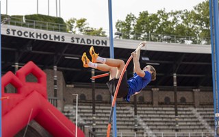Staven stoppar Hannes medaljjakt 