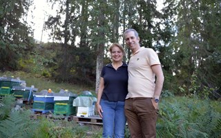 Fr�n USA till �tta bikupor i Svinninge